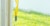 Raid® Fly & Bug Catcher Ribbon Tape Traps Perspective: right