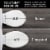 Mayfair Plastic Toilet Seat Perspective: right