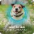 SERGEANT'S GUARDIAN Pro Flea & Tick Collar for Dogs Perspective: right