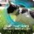 Sergeant's Guardian Flea and Tick Collar for Cats Perspective: right
