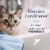 PetArmor F&T Shampoo Cat Perspective: right