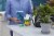 Miracle-Gro All Purpose Plant Food Perspective: right