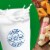 Galbani Part Skim Mozzarella String Cheese Perspective: right