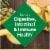 Nature's Bounty Probiotic Digestive Balance Gummies, Multi-Flavored Perspective: right