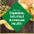 Nature's Bounty Probiotic Digestive Balance Gummies, Multi-Flavored Perspective: right