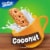 Marinela Hawaiian Dreams Coconut Cookies Perspective: right