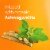 Emergen-C Vitamin C and Ashwagandha Gummies Perspective: right