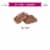 RUSSELL STOVER Milk Chocolate Toffee Squares Candy Bag Perspective: right