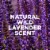Tom's of Maine Long-Lasting Aluminum-Free Natural Deodorant for Women Wild Lavender Perspective: right