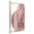 Buddig™ Turkey & Ham Lunchmeat Variety Pack Tub Perspective: right