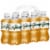 Vernors Zero Sugar Ginger Soda Bottles Perspective: right