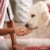 Milk-Bone Chock Full of Chunks Beef & Bacon Dog Treats Perspective: right