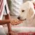 Milk-Bone Chock Full of Chunks With Beef and Bacon Dog Treats, 12 oz Perspective: right