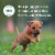 NUTRO PUPPY Gravy Tender Chicken Sweet Potato & Pea Recipe Grain Free Natural Wet Dog Food Bites Perspective: right