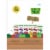 Stretch Island Original Fruit Leather Apple Perspective: right