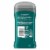Degree Original Protection Men's Deodorant Stick Arctic Edge Perspective: right