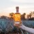 Olmeca Altos Tequila Reposado Perspective: right