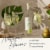 Plume & Petal Cucumber Flavored Vodka Perspective: right