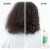 Pantene Smooth and Sleek Conditioner Perspective: right