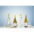 Cupcake Vineyards Pinot Grigio Italian White Wine Perspective: right