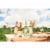 Ava Grace Vineyards Pinot Grigio California White Wine Perspective: right