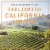 Kendall-Jackson Pinot Gris California Wine Perspective: right