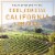 Kendall-Jackson® Vintner's Reserve Pinot Gris White Wine Perspective: right