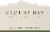 Cloudy Bay Sauvignon Blanc New Zealand White Wine Perspective: right