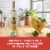 Noble Vines 242 Monterey California Sauvignon Blanc White Wine Perspective: right
