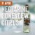 Gnarly Head Lodi California Pinot Grigio White Wine Perspective: right