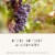 Robert Mondavi Winery Napa Valley Maestro Red Wine Perspective: right