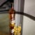 Glenfiddich 18 Year Old Single Malt Scotch Whisky Perspective: right