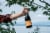 Erath Pinot Noir Oregon Red Wine Perspective: right