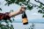 Erath Pinot Noir Oregon Red Wine Perspective: right