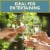 Bella Sera Pinot Grigio Italian White Wine Perspective: right