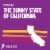 Barefoot Cellars Pinot Noir California Red Wine Perspective: right