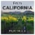 Prophecy Cabernet Sauvignon California Red Wine Perspective: right
