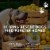 Lucky One Vodka Lemonade Variety Pack Perspective: right