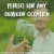 Starborough Sauvignon Blanc New Zealand White Wine Perspective: right