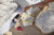 Chandon California Rose Sparkling Wine Perspective: right