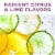 Crafters Union Pinot Grigio Canned White Wine Perspective: right