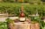 Remy Martin 1738 Accord Royal Cognac Perspective: right