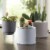 Bloem Mathers Planter w/Saucer Tray Misty Blue Garden Plater, White, 8 Perspective: right