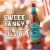 Samuel Adams Holiday White Ale Seasonal Beer Perspective: right