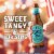 Samuel Adams Holiday White Ale Seasonal Beer Perspective: right