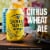 Samuel Adams Octoberfest Seasonal Beer Perspective: right