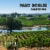 San Simeon Estate Reserve Cabernet Sauvignon California Red Wine Perspective: right