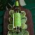 Stella Rosa Italy Lemon-Lime Flavored Wine Perspective: right