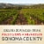 SIMI Sonoma County Rebel Cask Red Blend Red Wine Perspective: right