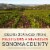 SIMI Sonoma County Rebel Cask Red Blend Red Wine Perspective: right
